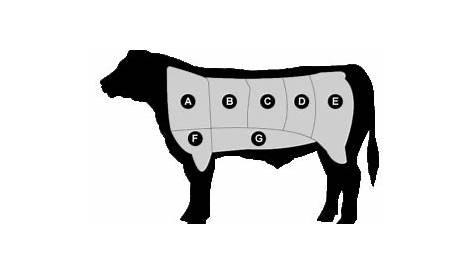 A Guide to Choosing Beef: Cuts of Meat