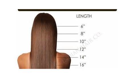 hair length chart in inches