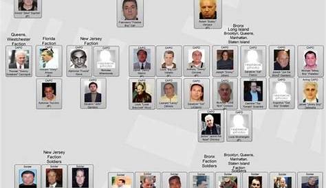 gambino crime family 2021 chart
