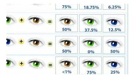 what color eyes will baby have chart