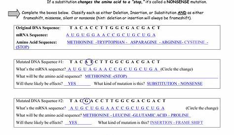 genetic mutations worksheet key