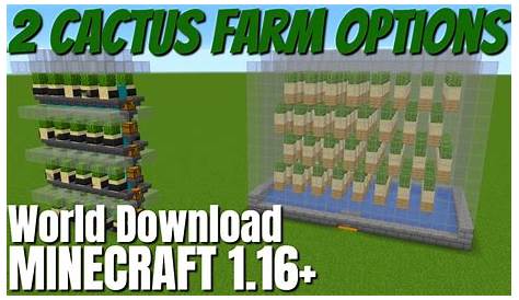 How to Make a Cactus Farm in Minecraft 1.16: Two Minecraft Cactus Farm