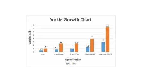 growth chart for yorkie puppies