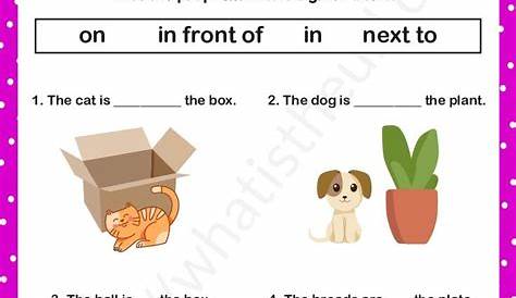 Simple Preposition Worksheet for Grade 1-Exercise 4 | Preposition