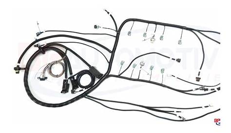 best wiring harness for ls swap