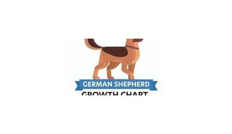 puppy weight chart german shepherd