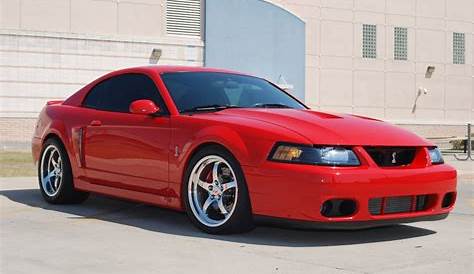 terminator ford mustang