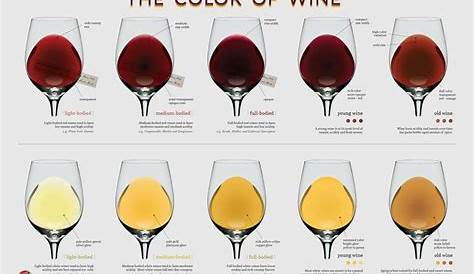 wine folly color chart