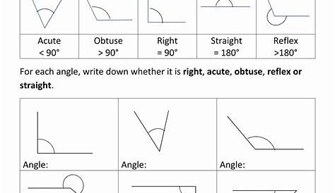 50 Polygon And Angles Worksheet