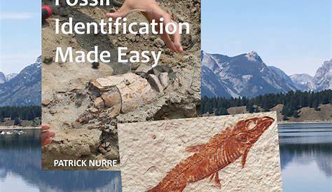 Fossil Identification Made Easy, the samples - Northwest Treasures