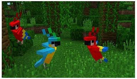 Top 5 things you probably didn't know about parrots in Minecraft