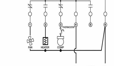 Defrost Timer Wiring Diagram : Walk In Freezer Defrost Timer Wiring