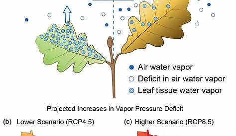 atmospheric vapor pressure deficit