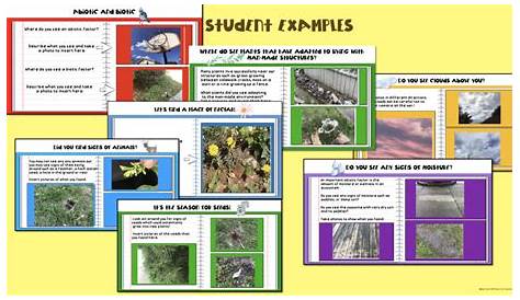 Go Outdoors on an Exciting Schoolyard Ecosystem Scavenger Hunt