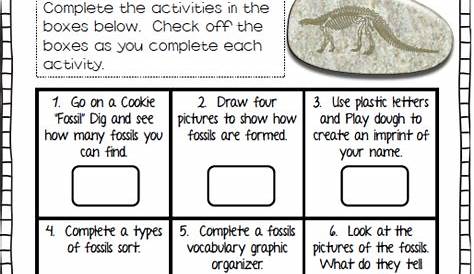 fossils worksheet second grade