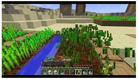 how to play older versions of minecraft