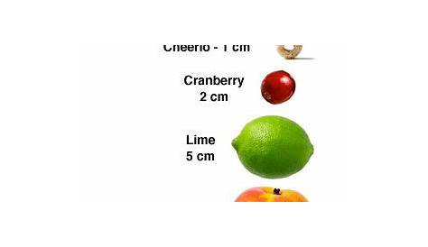 Comparing Fibroids with Fruits | Uterine Fibroids Article