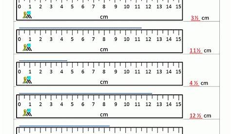 reading a metric ruler worksheets answers
