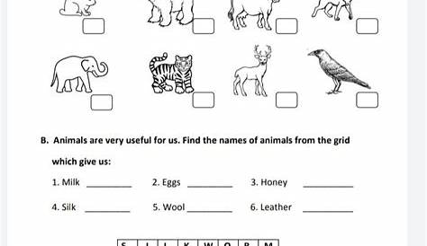 grade 2 science worksheet animals
