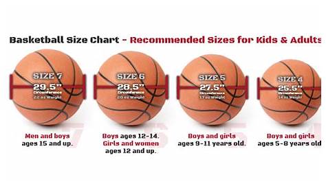 Wilson Basketball Size Chart