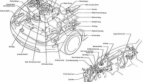 2003 Mazda Protege5 Wiring Diagram