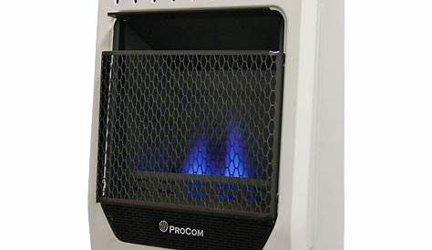 ProCom Dual Fuel Ventless Blue Flame Heater - 10,000 BTU, Manual Contr