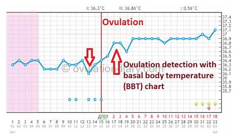 Determining ovulation by Basal Body Temperature (Works