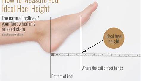 how to measure heel to toe size