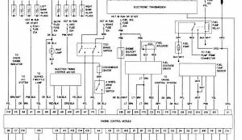 gm body control module wiring diagram