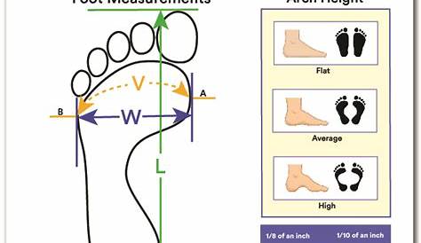 child foot measure chart printable