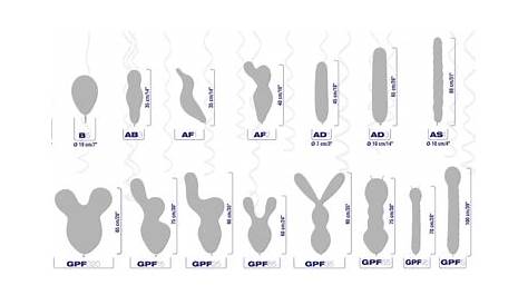 gemar balloons color chart