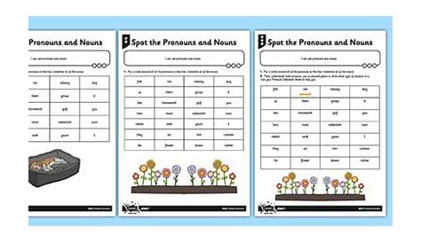 noun and pronoun worksheet
