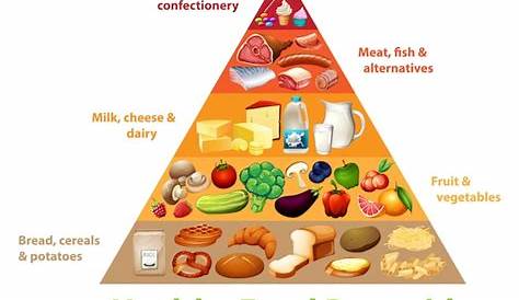 Free Vector | Healthy food pyramid chart