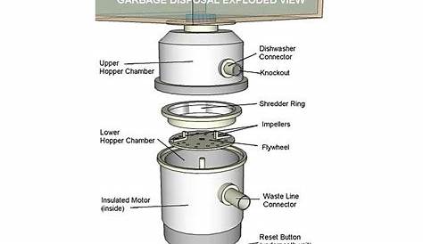Visual Guide to Garbage Disposal Parts