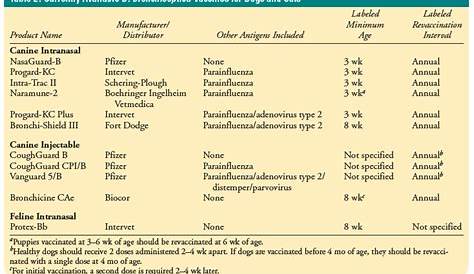 Clavamox Dosage Chart For Cats - Cat Meme Stock Pictures and Photos