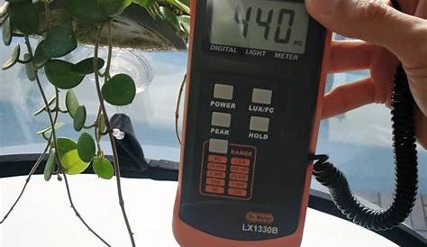 houseplantjournal: A light meter will help you better understand the