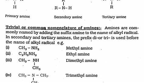 amine nomenclature worksheet with answer key