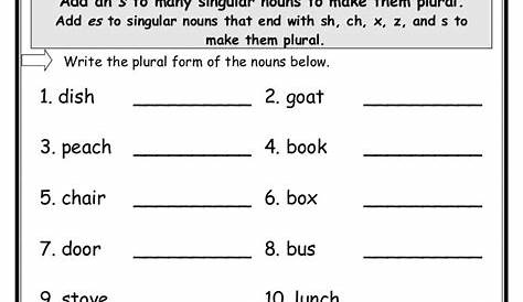 making nouns plural worksheet