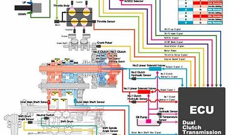 1982 Honda Express Wiring Diagrams Electrical