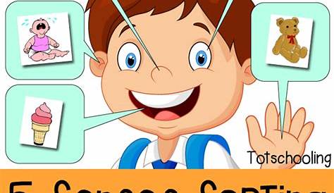 Five Senses Sorting Printable | Totschooling - Toddler, Preschool