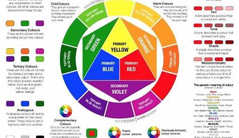 Colour Wheel - Print Out | Teaching Resources