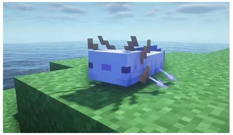 Minecraft How To Summon Blue Axolotl