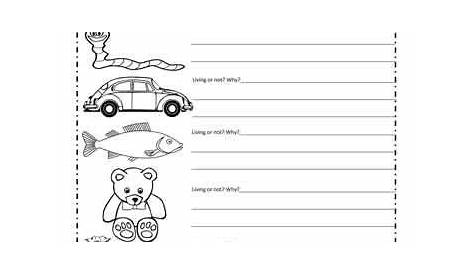 Living Things Worksheet | 1st grade science, Science worksheets, 1st