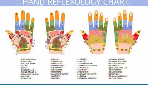Hand Reflexology Acupressure | escapeauthority.com