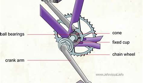 Solved The length of a bicycle crank arm is 0.114 m, and a | Chegg.com