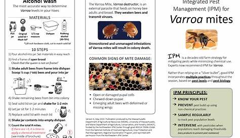 varroa mite treatment comparison chart