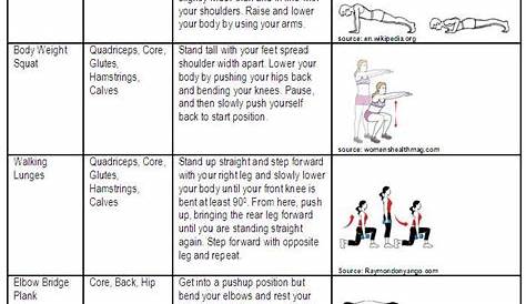 functional training exercises pdf