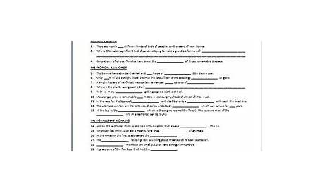 our planet episode 1 worksheet answers