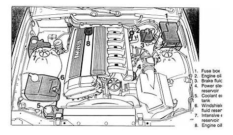 2006 Bmw 325i Engine Parts Diagram | SPORTCars