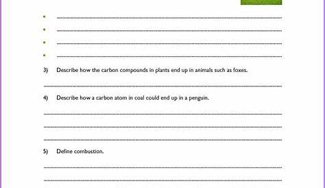 carbon cycle worksheet pdf
